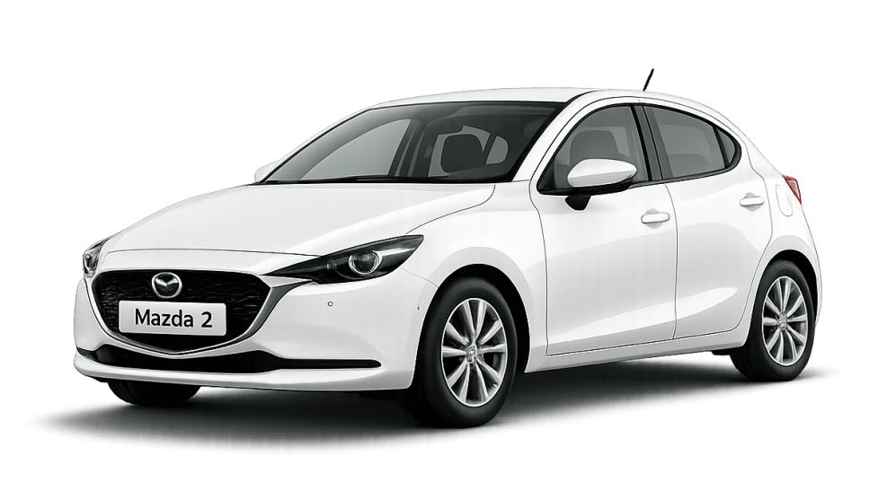 ���� ����� ������ ���